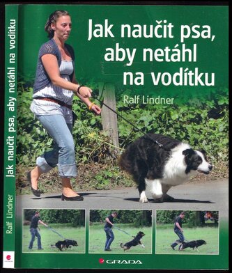 Jak naučit psa, aby netáhl na vodítku : [rady teriéra Bertíka] (Ralf Lindner, 2013)