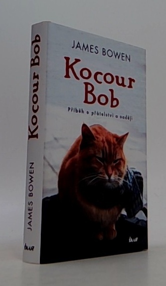 Kocour Bob