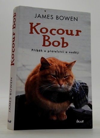 Kocour Bob