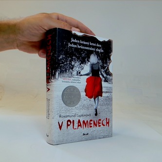 V plamenech