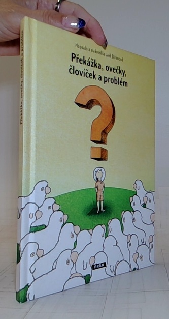 Překážka, ovečky, človíček a problém