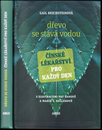 Dřevo se stává vodou : čínské lékařství pro každý den (Gail Reichstein, 2013)