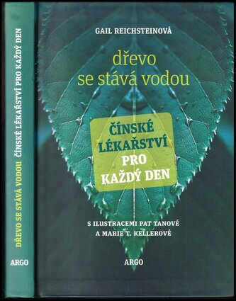 Dřevo se stává vodou : čínské lékařství pro každý den (Gail Reichstein, 2013)