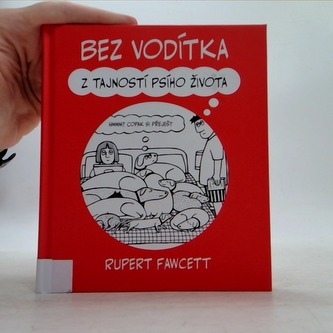Bez vodítka