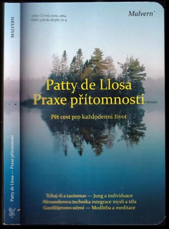 Praxe přítomnosti : pět cest pro každodenní život (Patty de Llosa, 2014)