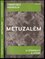 Metuzalém : o stárnutí a stáří (Frantisek Koukolík, 2014)