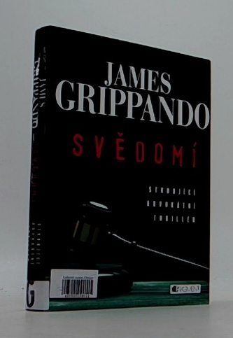 Jack Swyteck 1: Svědomí