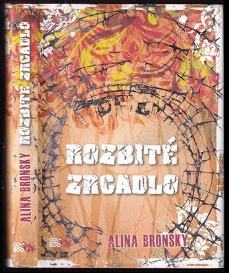 Rozbité zrcadlo : [2] (Alina Bronsky, 2014)