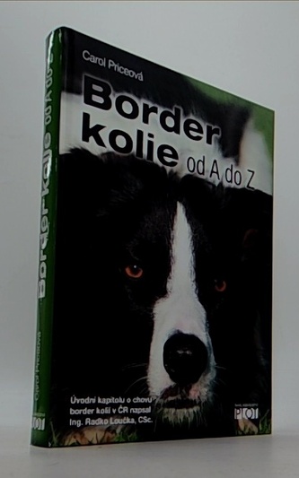 Border kolie