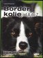 Border kolie