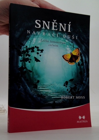 Snění navrací duši - Léčba šamanským sněním