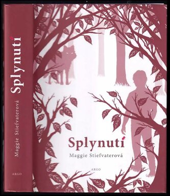 Splynutí (Maggie Stiefvater, 2011)