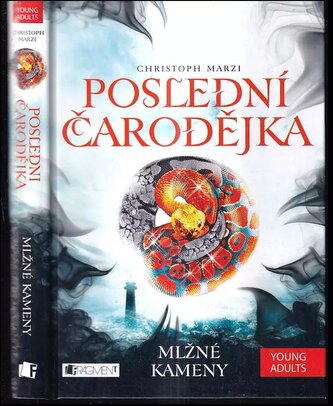 Poslední čarodějka : Mlžné kameny (Christoph Marzi, 2014)
