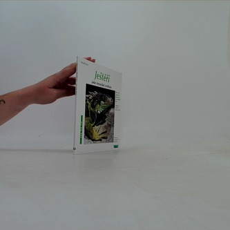 Ještěři jako terarijní zvířata - jak na to