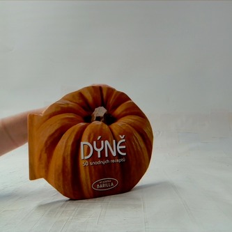 Dýně