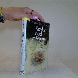 Kavky nad městem