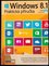 Windows 8.1 : praktická příručka (Karel Klatovský, 2014)