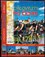 Cyklovýlety po Česku a okolí : šedesát čtyři výletů za poznáním (Martin Leschinger, 2013)