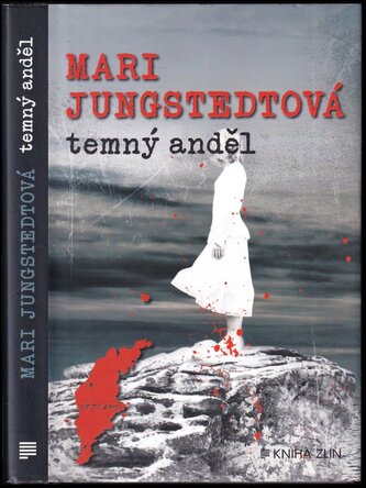 Temný anděl (Mari Jungstedt, 2014)