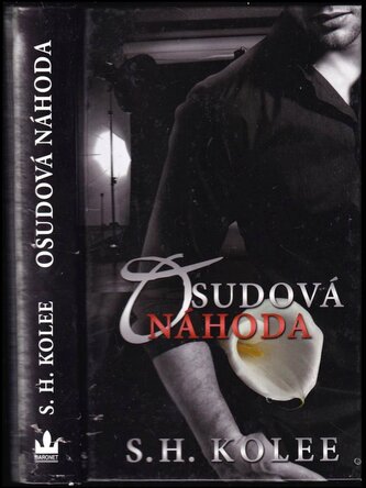 Osudová náhoda (S. H Kolee, 2015)