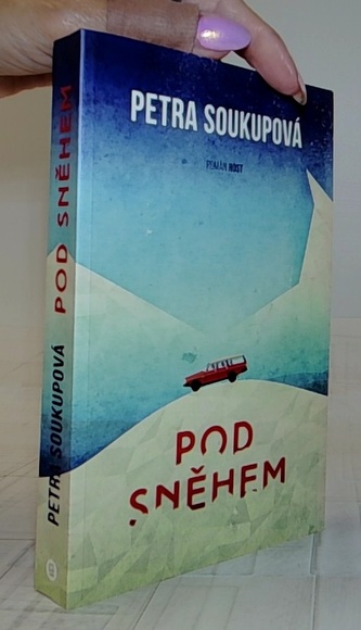 Pod sněhem