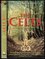 A Brief History of the Celts (Peter Ellis, 2003)