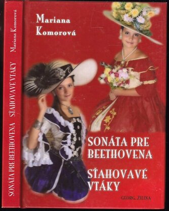 Sonáta pre Beethovena (Mariana Komorová, 2013)