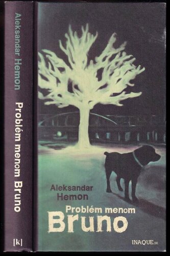 Problém menom Bruno (Aleksandar Hemon, 2013)