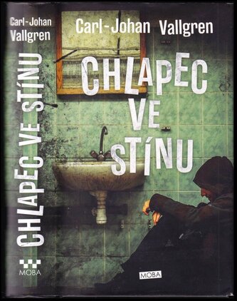 Chlapec ve stínu (Carl-Johan Vallgren, 2015)