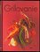 Grilovanie (, 2007)