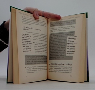 Jak vyzrát na počasí