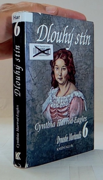 Dlouhý stín (DM 6)