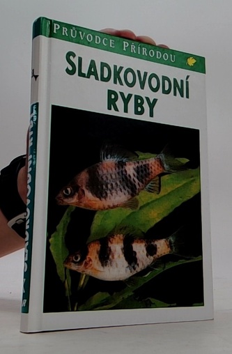 Sladkovodní ryby - Steinbach