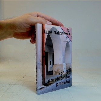 Scénář provinčního příběhu