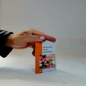 Kytička přání k Tvým narozeninám