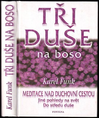 Tři duše na boso : malé meditace nad duchovní tvorbou Táni Fischerové, Dany Majdové, Václava Švejcara (Karel Funk, 2002)