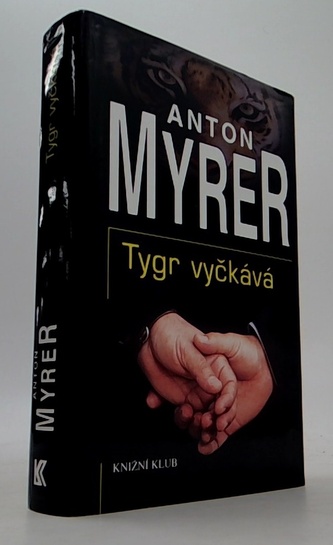 Tygr vyčkáva