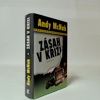Zásah v krizi
