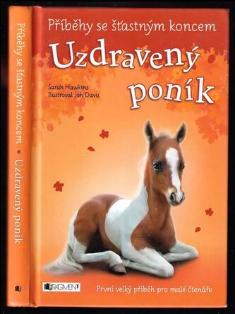 Uzdravený poník (Sarah Hawkins, 2015)