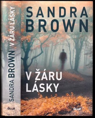 V žáru lásky (Sandra Brown, 2016)
