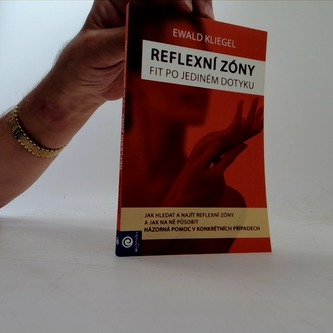 Reflexní zóny