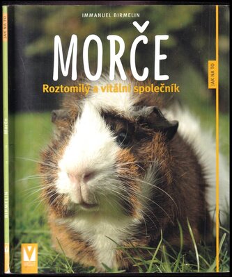 Morče (Immanuel Birmelin, 2016)