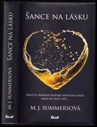 Šance na lásku (M. J Summers, 2016)