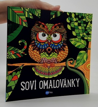 Soví omalovánky