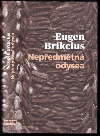 Nepředmětná odysea (Eugen Brikcius, 2016)