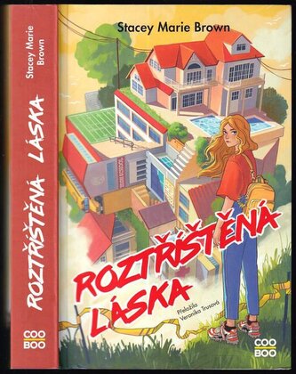 Roztříštěná láska (Stacey Marie Brown, 2024)