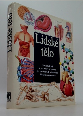 Lidské tělo