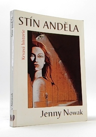 Stín anděla
