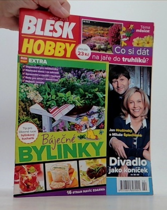 Blesk Hobby 2/2011