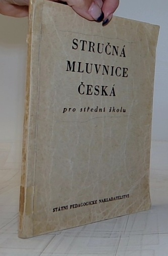 Stručná mluvnice česká pro střední školu